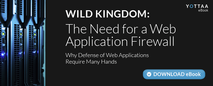 Wild Kingdom: The Need for a Web Application Firewall