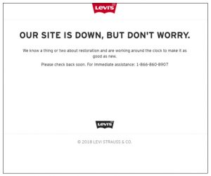 Levi's Site Failure